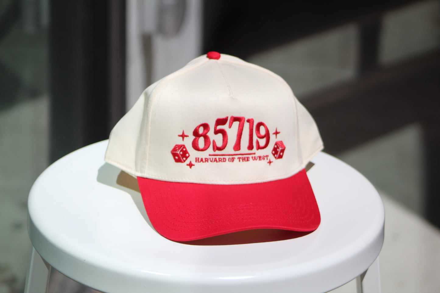 85719 embroidered paneled hat