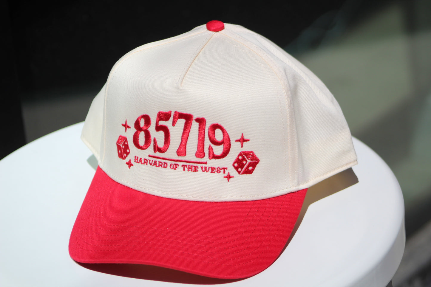 85719 embroidered paneled hat
