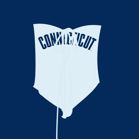 UCONN Sweetheart Tube top