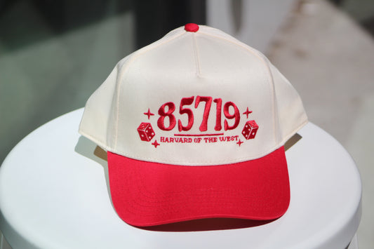 85719 embroidered paneled hat