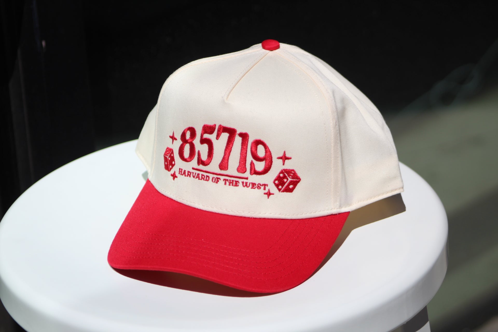 85719 embroidered paneled hat